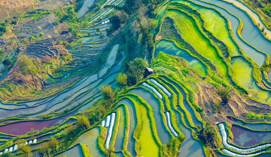 走进阜城县TVC拍摄：解锁本地化场景与创意镜头的完美融合